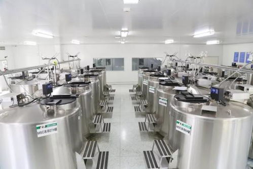 解鎖青春密鑰 細胞技術美容，告別產后衰老恐懼